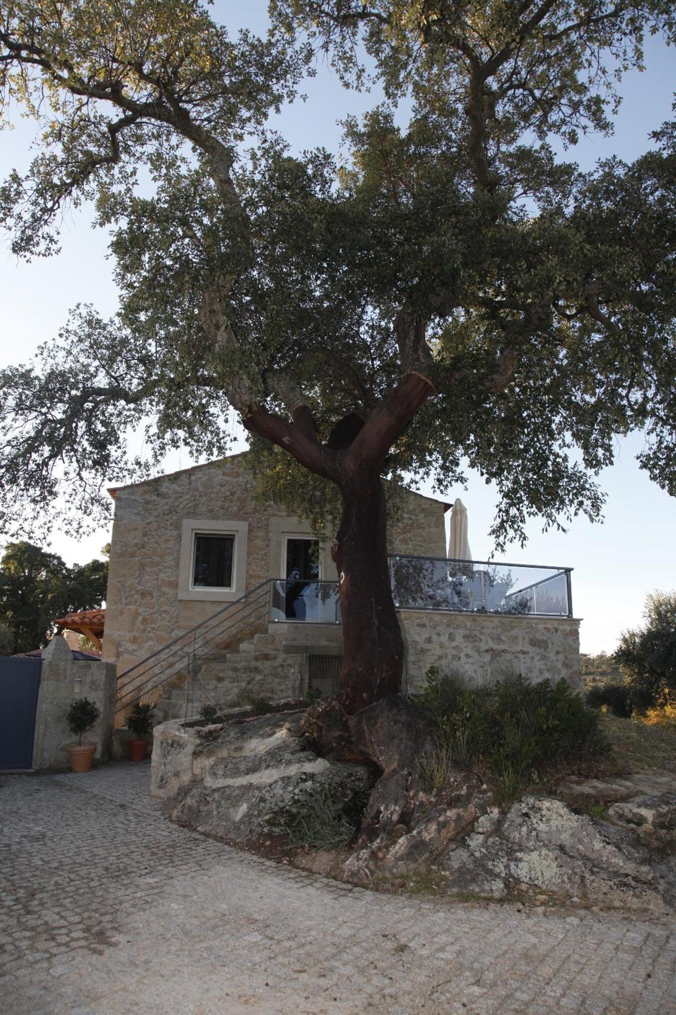 בית הארחה קאסטלו בראנקו 	Casas Do Regato מראה חיצוני תמונה